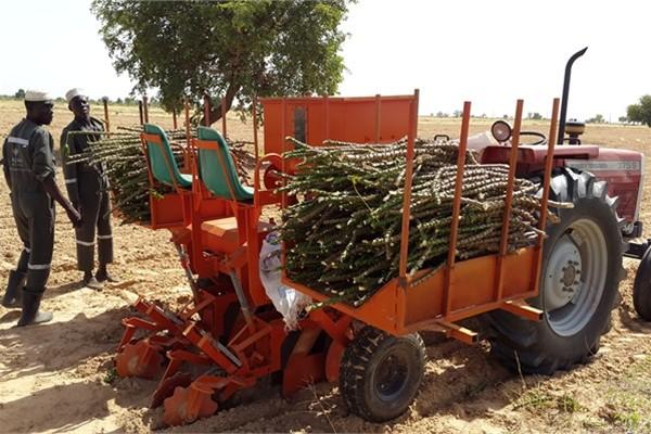 Quality Flat 0.5ha/H Cassava Planter Machine 100hp Two Row Seed Planter for sale