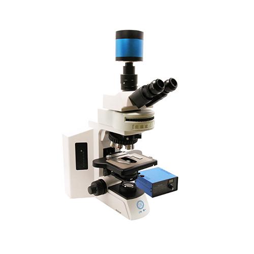 Quality Research Grade Upright Microscope B80F with 12V/3W LED Light Source for sale