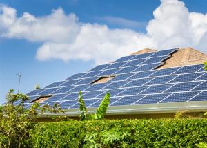 China High Power Plate Interconnection Mono Silicon High Efficiency Pv Panels wholesale