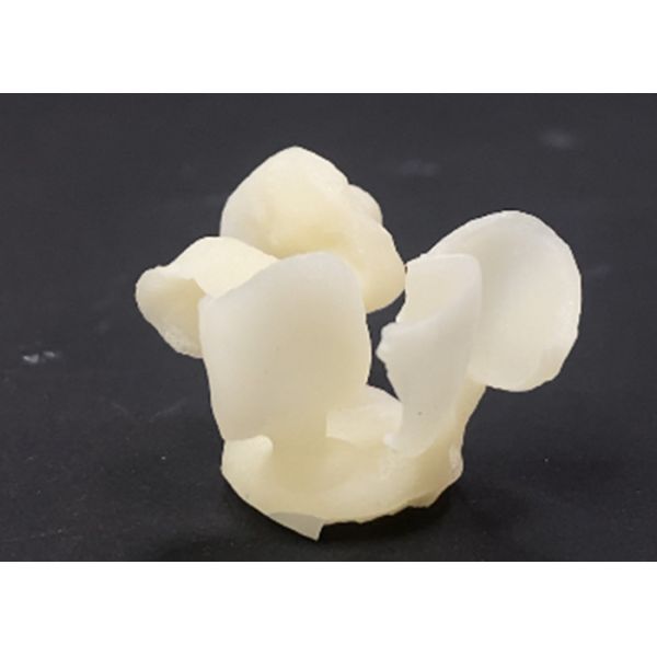 Precision Fitted Dental EMAX Veneer Natural Looking for Esthetic Restorations