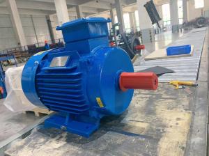 Ultra Low Speed Industrial PMAC PM Motor Manufacturer