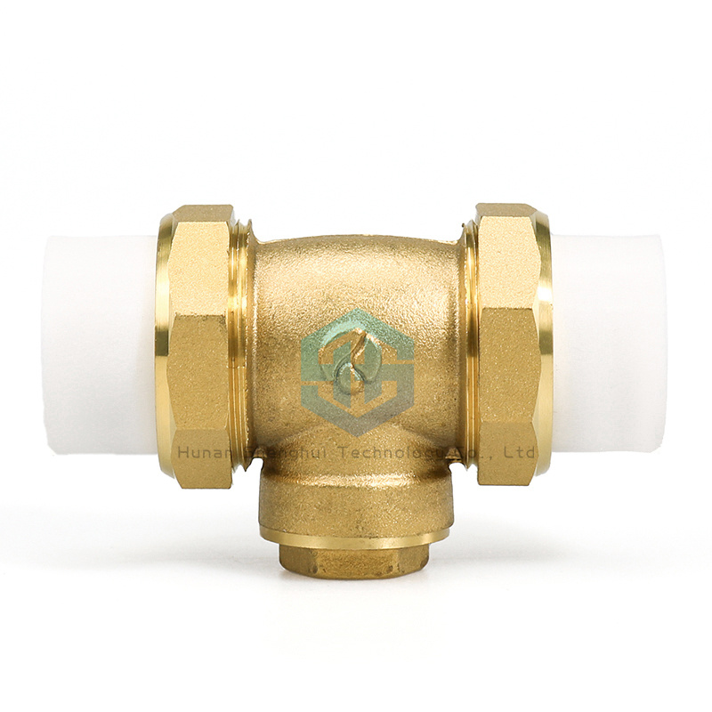 Vertical PPR Double Union Non Return Valve for Water Meter Free Sample
