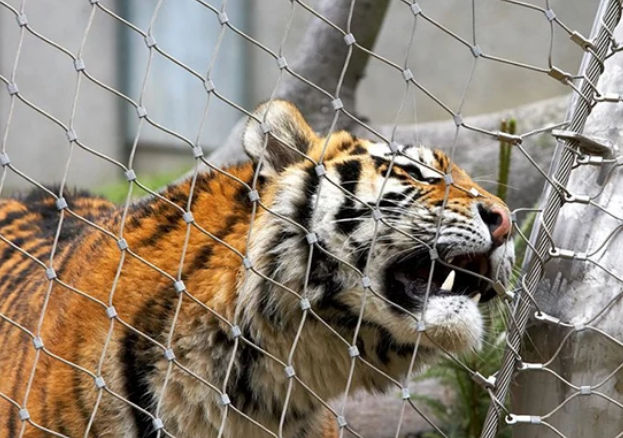 Factory Direct Supply Stainless Steel Cable Mesh Ferrule Type For Railing Applications