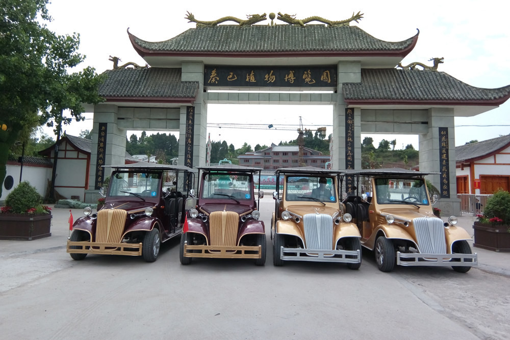 Strong Structure Classic Electric Street Legal Golf Carts With 8 Seater Customized