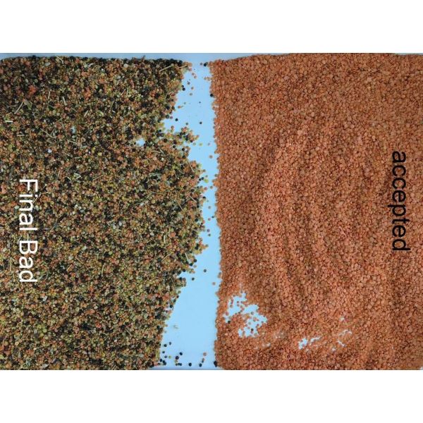 Intelligent Algorithm Soybean Sorting Machine 220V 50HZ