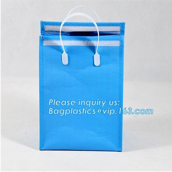 Customized logo printing insulated food delivery cooler bag,wholesale waterproof food delivery thermal bags bagplastics