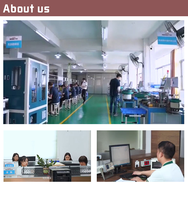 Customizable Multifunctional Temperature Thermostat Heater for B2B Sales Channels