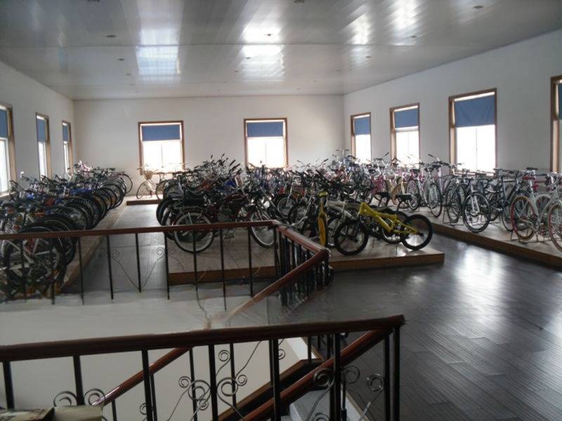 4 Stroke Motor Engine Cruiser Bicycle Gas Bike with Alloy Seatpost Max. Speed 40km/h