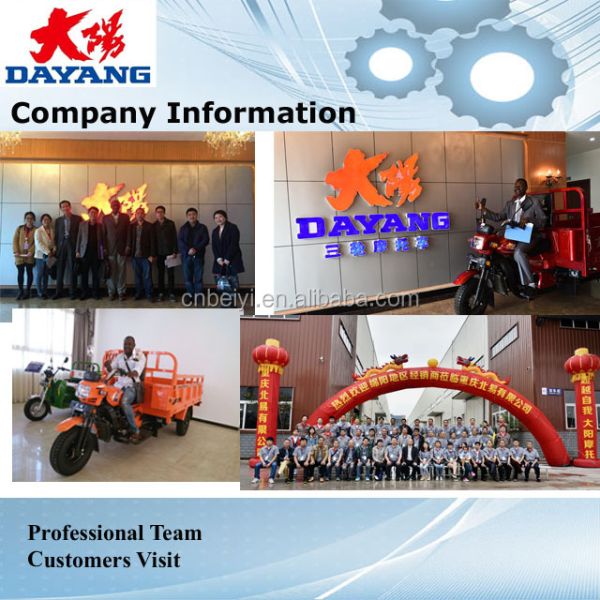 Dayang 200cc/250cc/300cc Tricycle Motorcycle for Cargo Transportation at Affordable