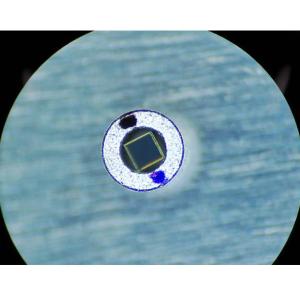 1310nm 0.8mm Free Space Isolator , Double Stage High Isolation Free Space Optical Isolator
