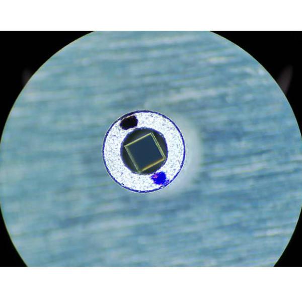 Quality 1310nm 0.8mm Free Space Isolator , Double Stage High Isolation Free Space Optical Isolator for sale