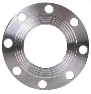 12 Inch Pipe Carbon Steel Plate Flanges , DIN PN16 Pipe Plate Flange Class 600