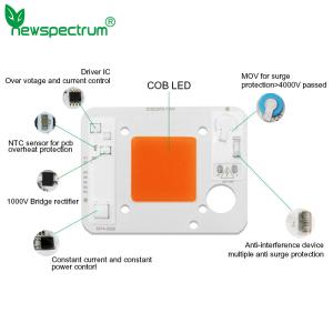 China AC110V 50W LED Chip Pink ODM LED Module COB With Driver On Board wholesale