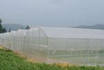 Waste Disposal Insect Mesh Netting Easywash 0.8 * 0.8mm For Horizontal Shed