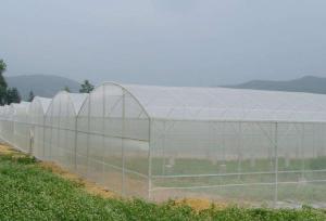 China Waste Disposal Insect Mesh Netting Easywash 0.8 * 0.8mm For Horizontal Shed wholesale