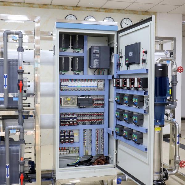 12000L/H RO Water Filter Treatment Plant EDI Ultra Pure Purifier Machine Reverse Osmosis System