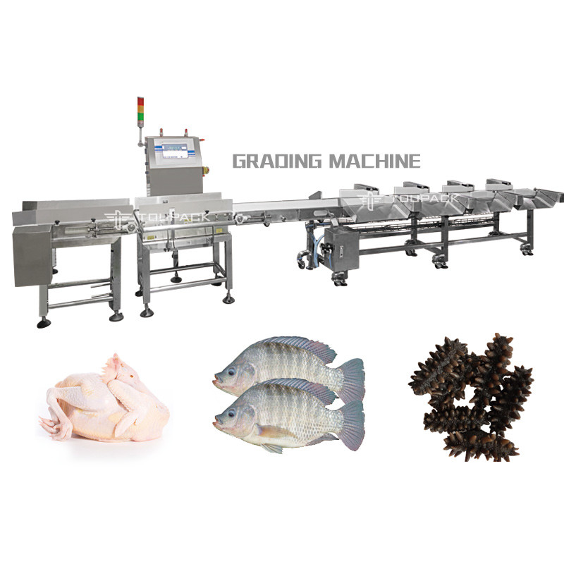 PLC Automatic Weight Sorting Machine Chicken Whole Meat Grading Machine