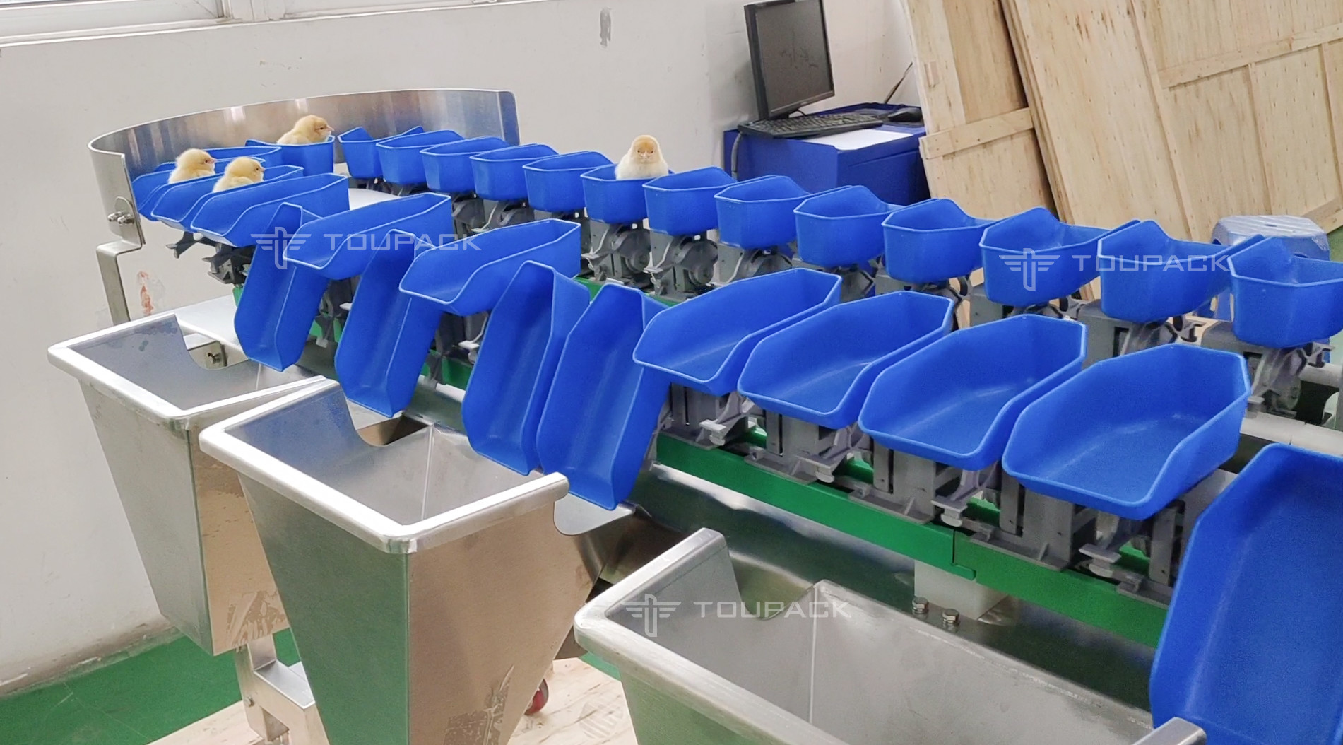 Fish Shrimp Trepang Weight Sorting Machine Automatic Conveyor Belt Grader Sorter Machine