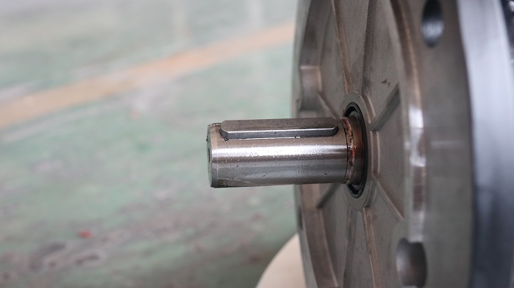 ms three phase electric motor