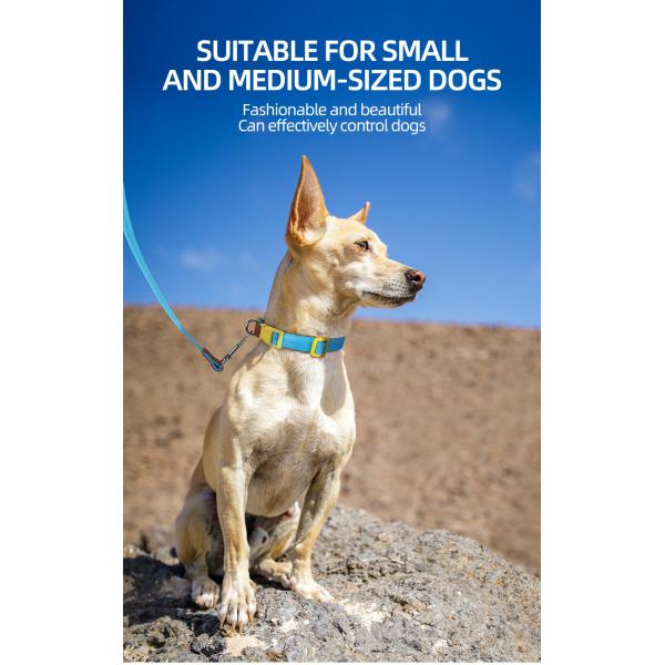 Pet Lightweight Multicolor Anti-Escape Pet Collar And Leash Set For Training Walking Dogs