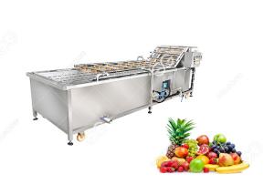 China Ce Certified Stainless Steel Fruit Processing Machine Fruit Mango Apple Washing Machine on sale