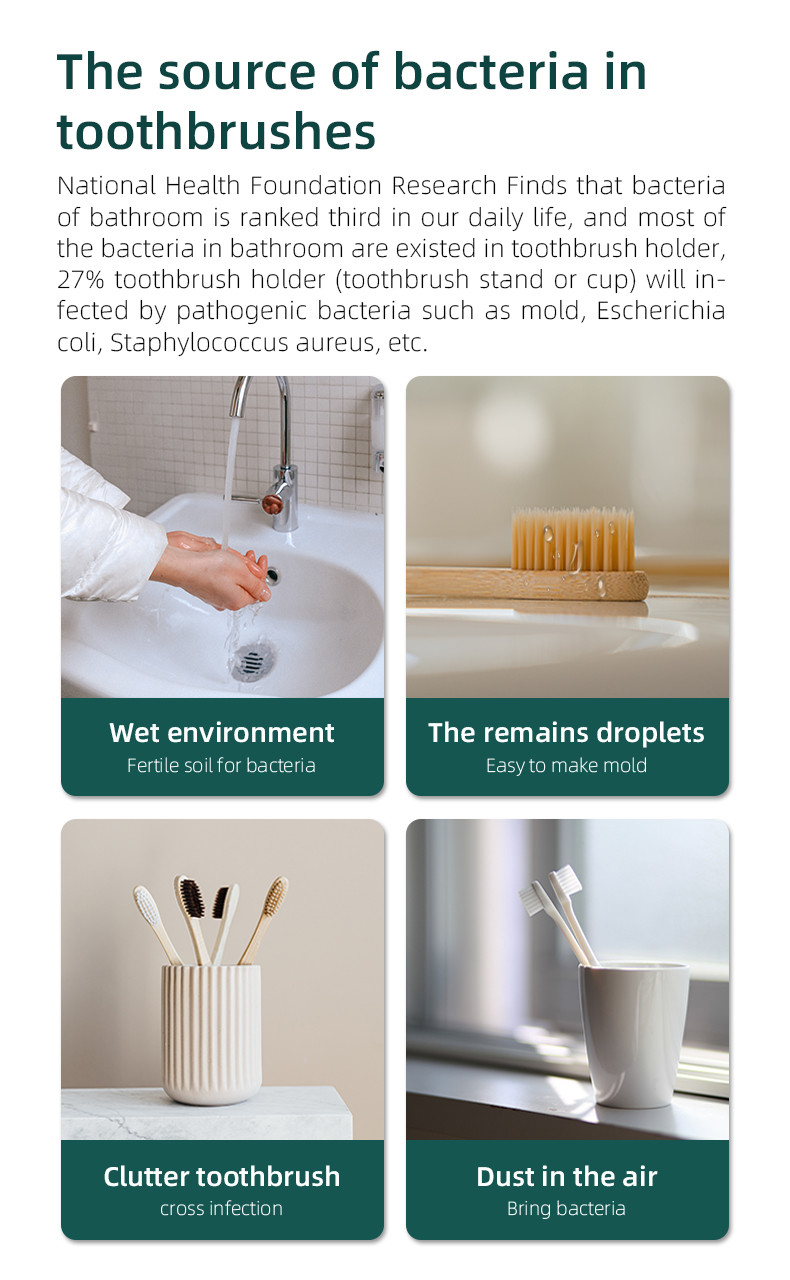 2000mah Battery Smart Toothbrush Disinfection Case with 5 Toothbrush Positions