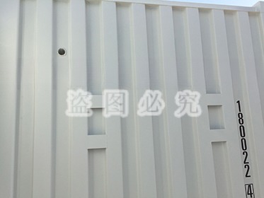 Max Gross Weight of 4600KGS Pre-Fabricated Steel Cabinet Shelf and Hanger Rack 20ft Modified Shipping Container Workshop