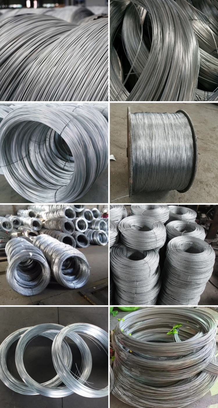 24 Gauge Galvanized Steel Wire Binding Function with Electro Galvanized Technique