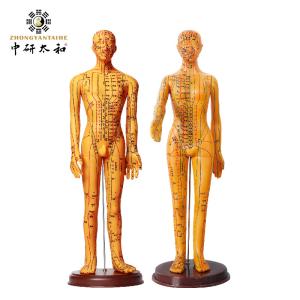 China Acupuncture Model With Flexible Joints For Learning Body Structure wholesale