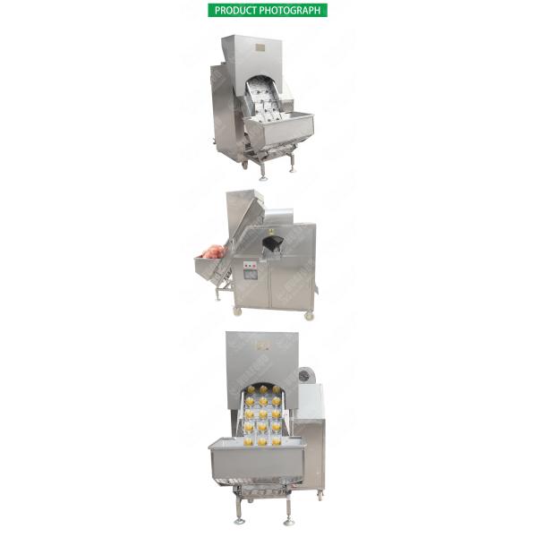1.52Kw SUS304 3000kg/H Onion Processing Equipment