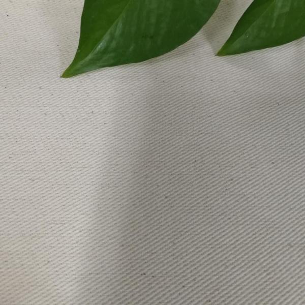 Quality 61/62" Width 277GSM Greige Cotton Woven Canvas Roll Packing for sale