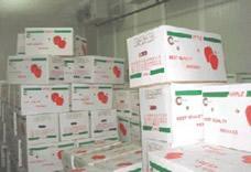 Fish Cold Room Freezer Room walk in chiller rooms