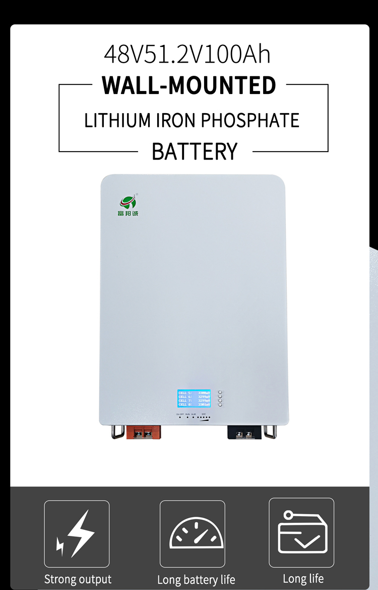 Wall Mounted IP20 Energy Storage System Battery Lifepo4 48V 100ah