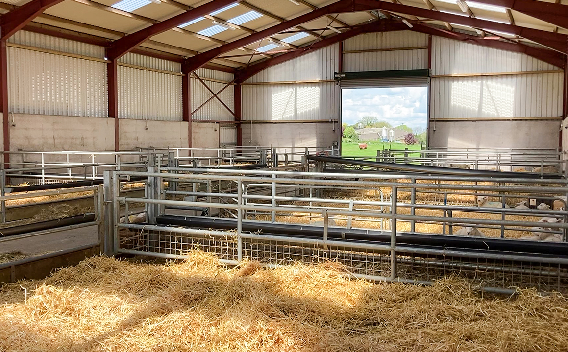Sliding Door and Roller Door Design Q345 Metal Frame Goat/Sheep House for Cow/Cattle Farm