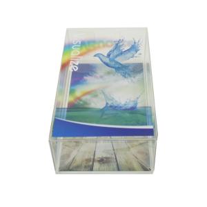 Visualized Recyclable Transparent PET Packaging Box For Toy