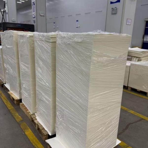 100% Wood Pulp Biodegradable Material For Customized PLA Coated Sheet