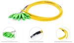 12 Core Fiber Optic Pigtail Sc APC Upc Fiber Simplex Pigtail Unjacketed Color
