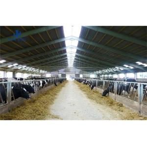 China Improved Productivity Prefab Steel Structure Dairy Cow Shed Farm wholesale