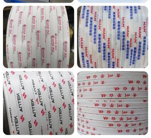 Multi-Functional Plastic Coating Machine With Resin Printing Ink