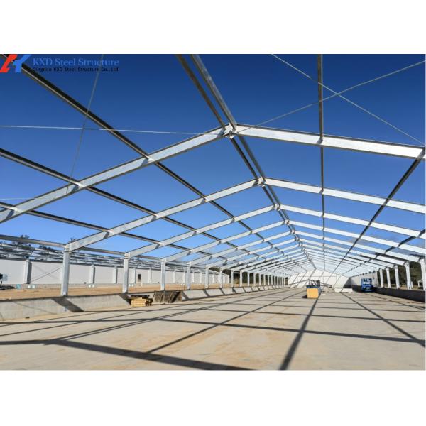 Steel Structure Plant Warehouse Poultry House Commercial Building Steel Structure