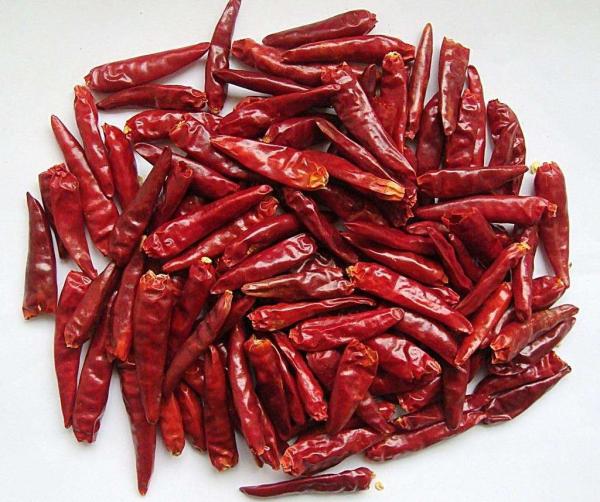 Quality Dried Chilli for sale
