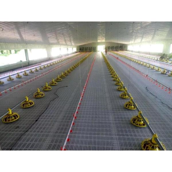 Prefab Light Steel Structure Poultry House Galvanized Steel Frame Chicken Coop