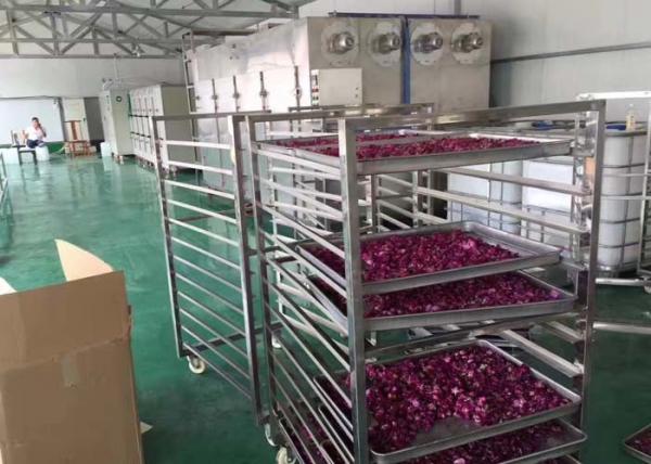 Quality Circulation Vacuum Tray Dryer  For Pharma , 24-216 Trays Flower Drying Machine for sale