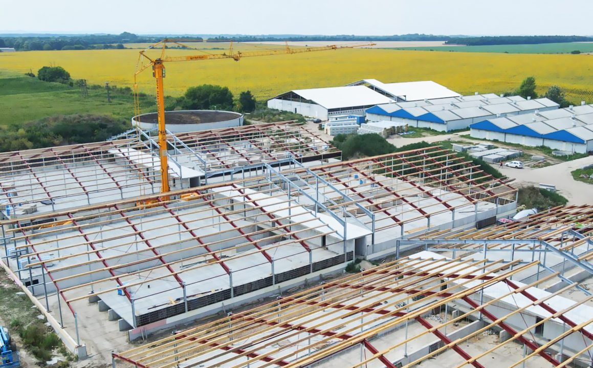 Sliding Door and Roller Door Design Q345 Metal Frame Goat/Sheep House for Cow/Cattle Farm