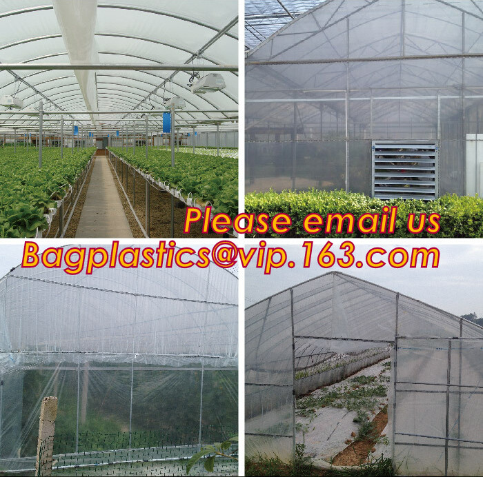 HOTICULTURAL MULCH FILM,AGRICULTURAL PE FILM,MARKET GARDENERS CLOCHE FILM,PE FILM FOR CORN,PLASTIC FILM COVER,TOMATO COV