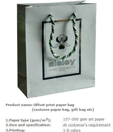 Low cost custom made design logo print handle paper carrier bag luxury paper gift bag,Luxury Paper Package Packaging Gif