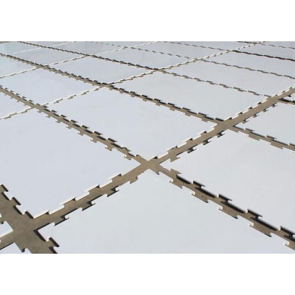 Ultra High Molecular Weight Polyethylene Sheet Indoor UHMWPE Artificial Ice Rink
