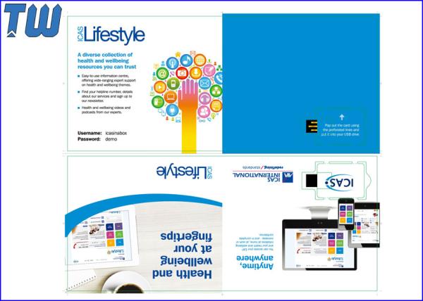 Quality Greeting Fold Full Color Printing Paper Card USB URL Key Website for sale
