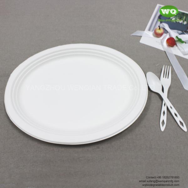 Quality 10/12 Inch biodegradable sugarcane Oval Plate-Wholesale Water-proof bagasse plate-Natural friendly pulp tableware for sale