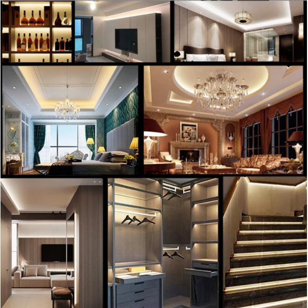 IP68 Waterproof SMD LED Flexible Strips 2835 High Voltage 220V 110 Leds